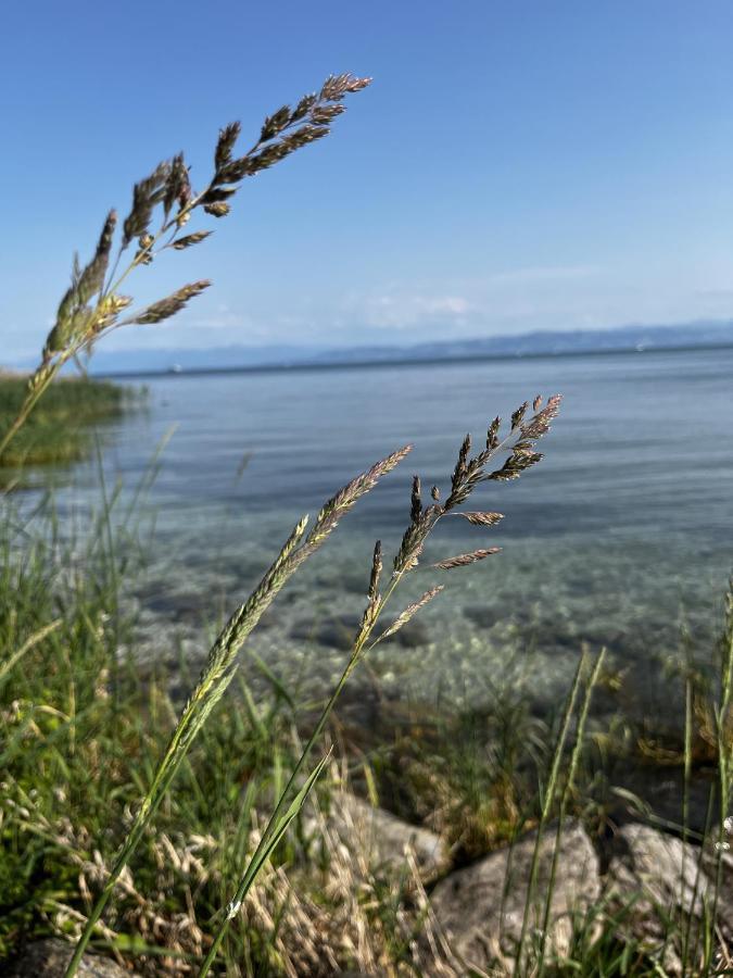 Kling Am See フリードリヒスハーフェン エクステリア 写真